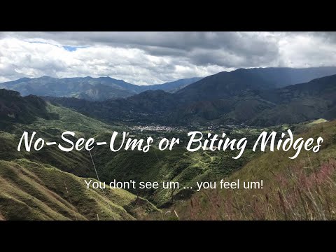 Biting Midges or No-see-ums - pack a mean bite.