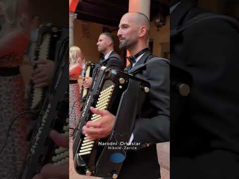 #OrkestarNikoleZarić #NikolaZarićOrchestra #NikolaZarićMusic