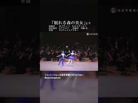 眠れる森の美女 より