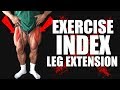 Exercise Index - Leg Extension
