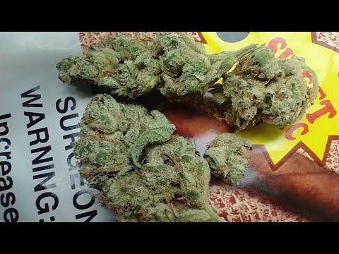 9 Blackberry By Gleaf