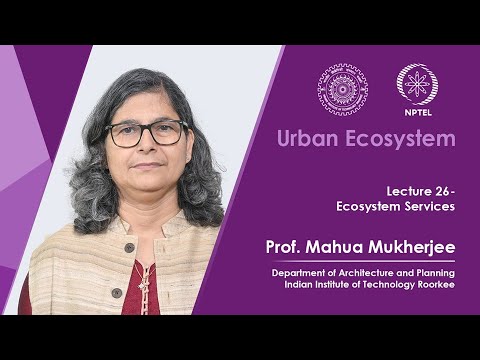 Lecture 26: Ecosystem Services