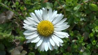 HÍREK A TERMÉSZETBŐL