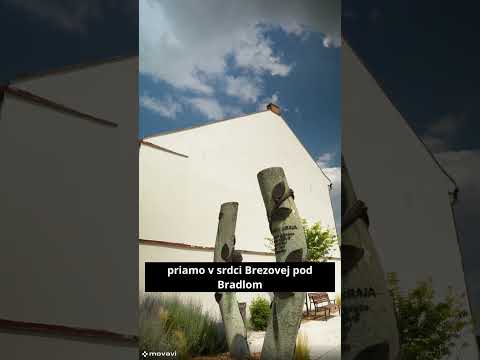 Projekt Štefánik | Podporte vznik monumentálneho portrétu M. R. Štefánika