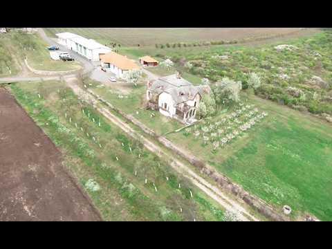 Noile crame din Podgoria Aradului | O excursie necesară și obligatorie pentru înțelegerea calității vinurilor din zona Păuliș-Covăsânț-Mocrea