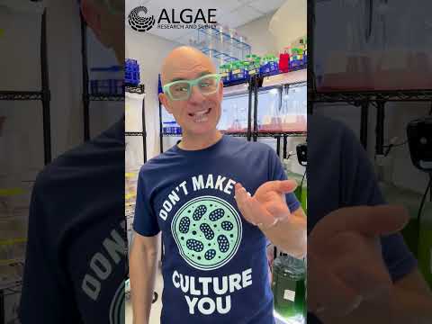 Science Fair Tips for Parents