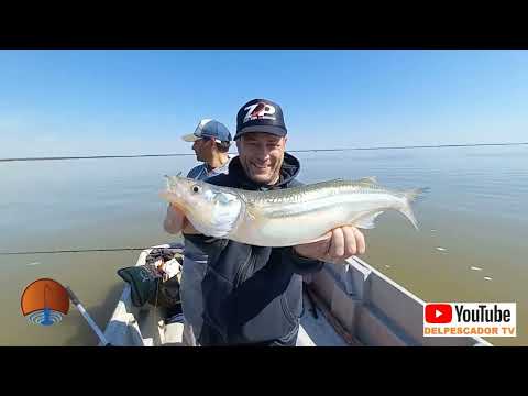 DELPESCADORTV644. PEJERREYES EN VIAMONTE CORDOBA PESQUERO MILI PESCA