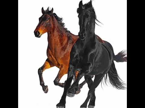 Lil Nas X feat. Billy Ray Cyrus - Old Town Road