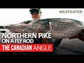 Northern Pike On A Fly Rod The Canadian Angle