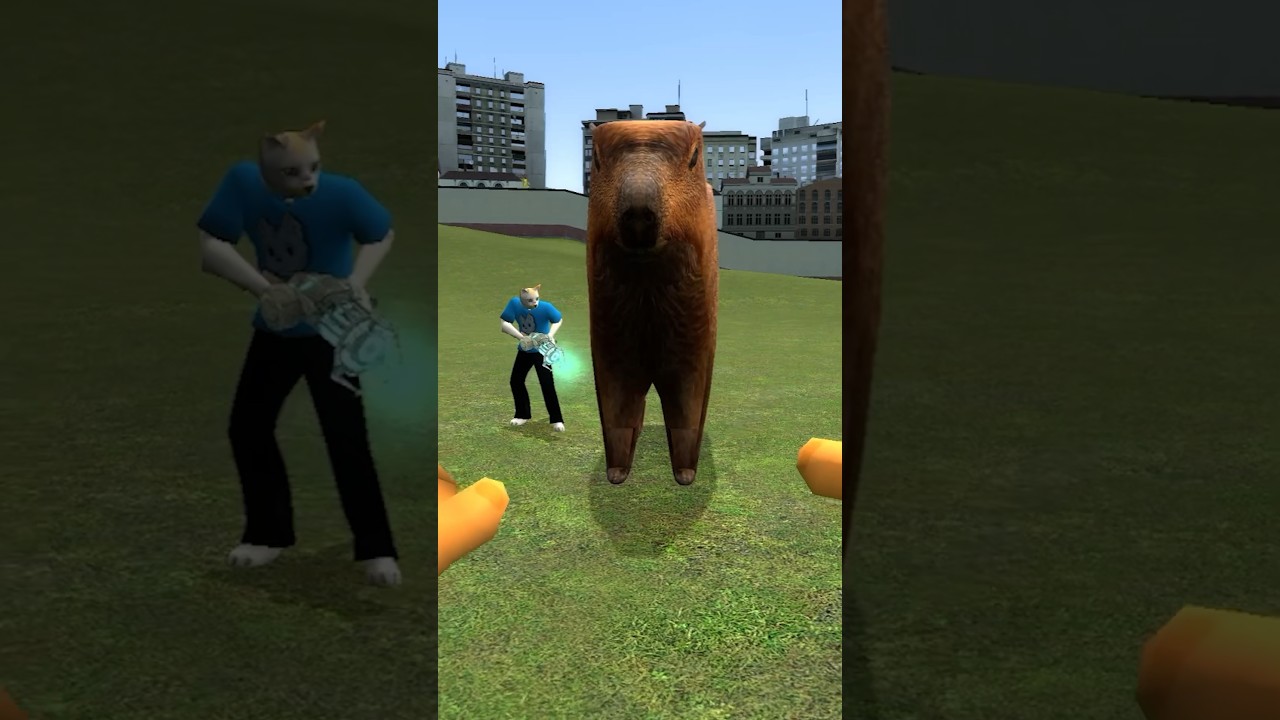 PALLONCINO O CAPYBARA? 🤔