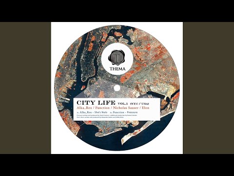 She's Nuts (Original Mix)