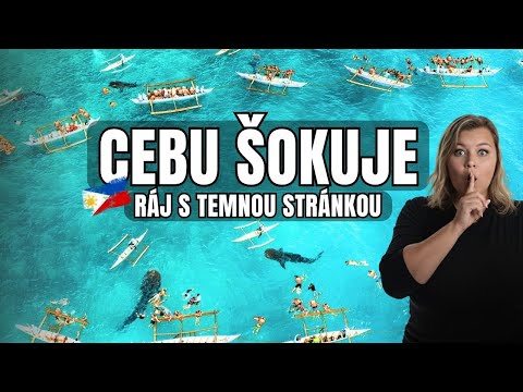 CEBU Filipíny - Ráj, který má i temnou stránku - Plavání se žraloky, Sirao Garden & Temple of Leah