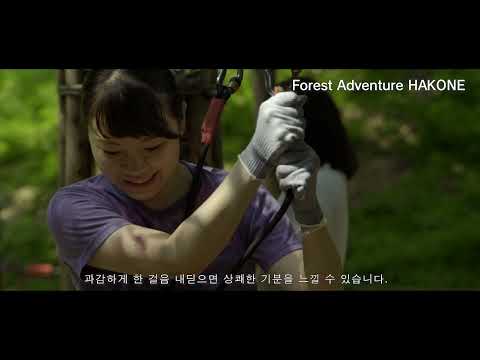 하코네마치소개동영상