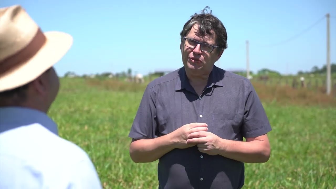 TIP: ENTENDA ESSE SISTEMA DE MANEJO