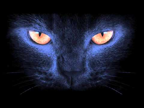 COZZY D & Eric Volta feat. The French Edge : Le Chat Noir