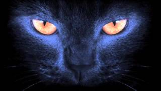 COZZY D & Eric Volta feat. The French Edge : Le Chat Noir