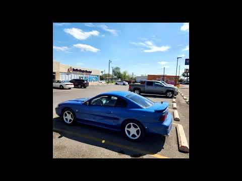 Jumex Palmas - Never Land (Audio) 2025