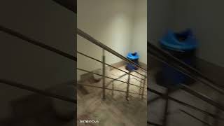 Download lagu oyo hotel room staf #car #viral #viralcomedy #comedy #funny #goneviral #funnycomedy #oyo mp3