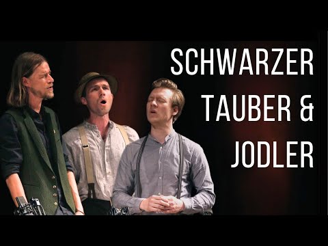Postwirtmusi - Schwarzer Tauber & Jodler - Live im Wiener Konzerthaus