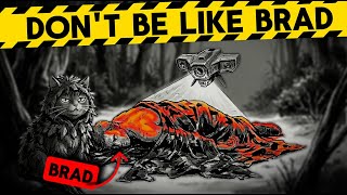 The Science of Stealth: Disappear From Surveillance Satellites!