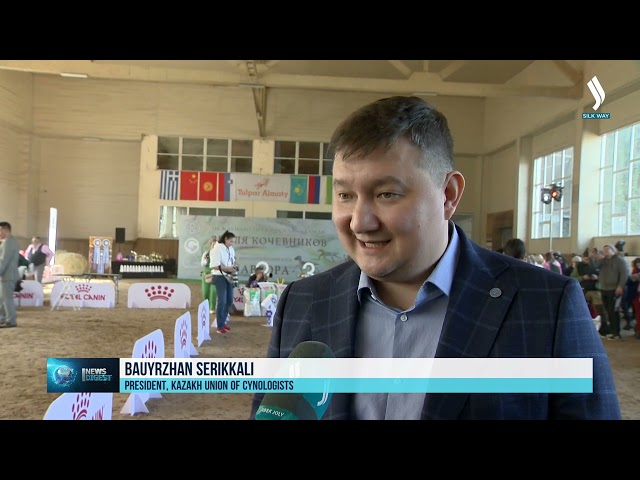 Казахский тазы представили на международной выставке собак в Алматы