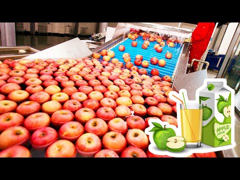 How Apple Juice Is Made In Factory - Modern Fruit Juice Making Technology