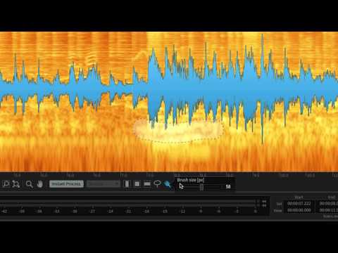 RX 5 Advanced Audio Editor