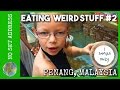Eating Weird Stuff Challenge 2 Penang Malaysia