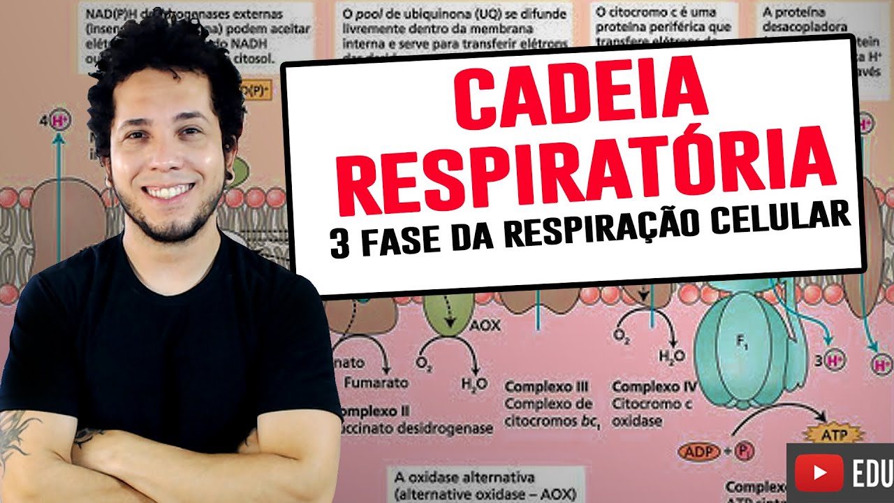 CADEIA RESPIRATÓRIA - RESPIRAÇÃO CELULAR - Prof. Patrick Gomes