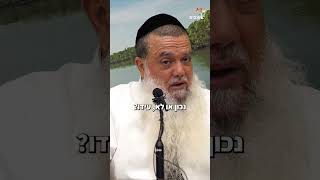 תביט על המצוות - הרב יגאל כהן (ארגון ענפים) - התמונה מוצגת ישירות מתוך אתר האינטרנט יוטיוב. זכויות היוצרים בתמונה שייכות ליוצרה. קישור קרדיט למקור התוכן נמצא בתוך דף הסרטון