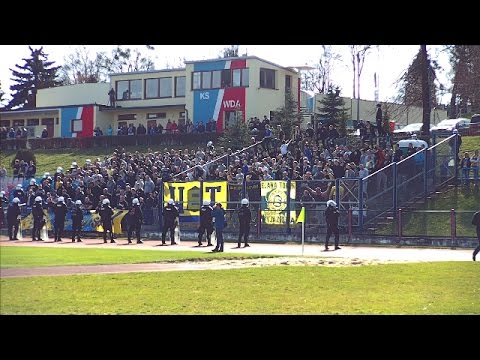 Elanowcy w Świeciu [videorelacja] (02.04.2016)