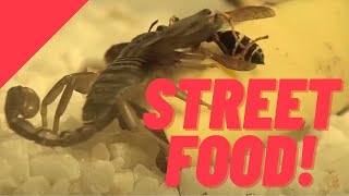 Exotic And Popular Street Foods You'll Find In Asia | FACTS.