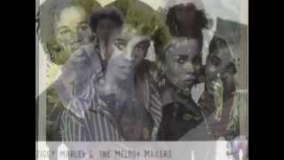 Ziggy Marley & The Melody Makers - Fight to Survive