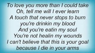 At Vance - Die In Your Arms Lyrics