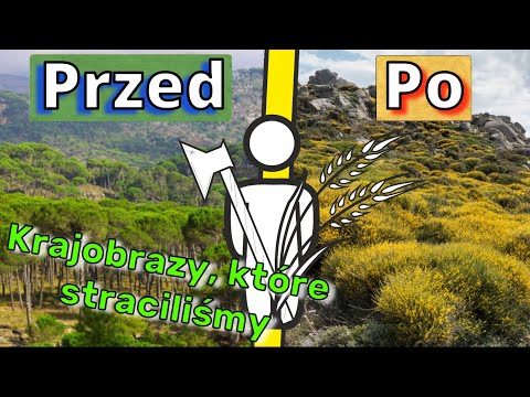 Makia to nie cud natury – to skutek katastrofy