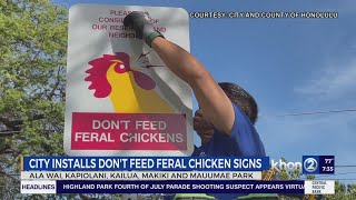 City install signs to discourage public from feeding feral chickens