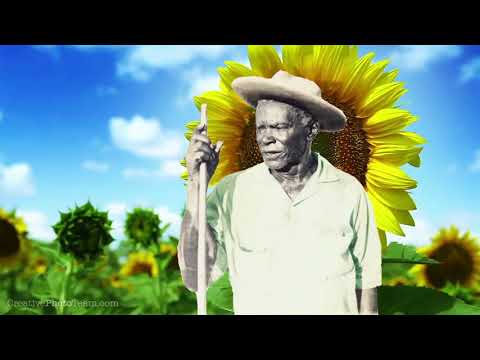 Germano Guilherme - Quem nos dá Esta Luz - CELIVRE-CS