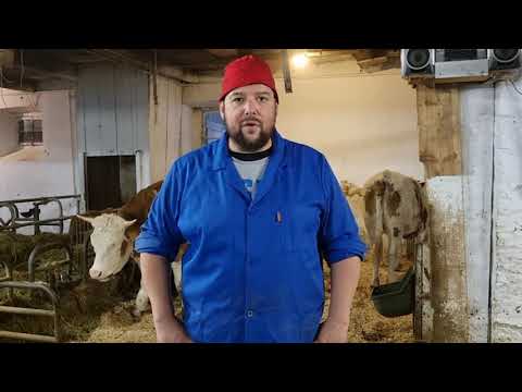 Mein günstiger Laufstall