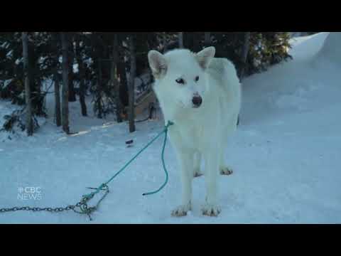 The unaffordability of food, fuel and more caused by melting sea ice
