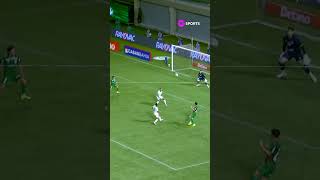 FEZ O "X"! GOLEIRO DO GUARANI IMITA DEFESA DE HANDALL E IMPEDE GOL DO PALMEIRAS #shorts