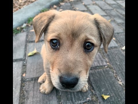 Li-HsinTennis - 108年第八屆美傑仕OPI盃 (Round 16) 2019