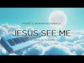 JESUS SEE ME PROPHETIC WORSHIP INSTRUMENTAL PRAYER MUSIC MEDITATION