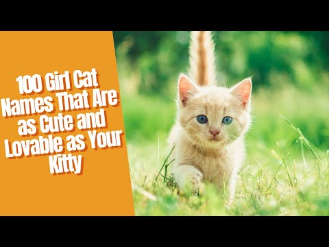 100 Girl Cat Names That Are as Cute and Lovable