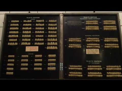 It's a Grimm-Life Daily Vlog #18 - Burritos & Teeth