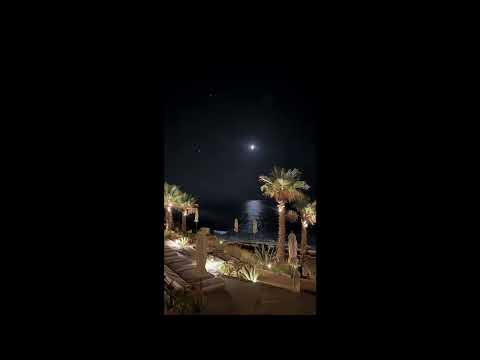 (FREE) Revus x JKing Reggae Sample Type Beat - "Frontline"