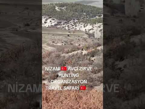 Avcı Zirve Hunting Organizasyon Travel Safari
