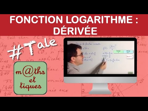 Deriving a logarithm function - Terminal