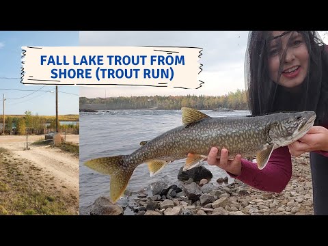 Fishing the Fall Lake Trout Run from shore!