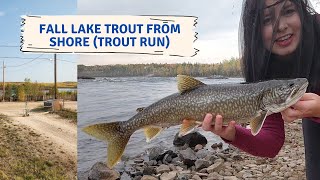 Fishing the Fall Lake Trout Run from shore!