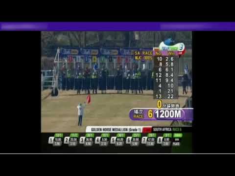 2020金獎牌錦標 2020 Golden Horse Medallion G1